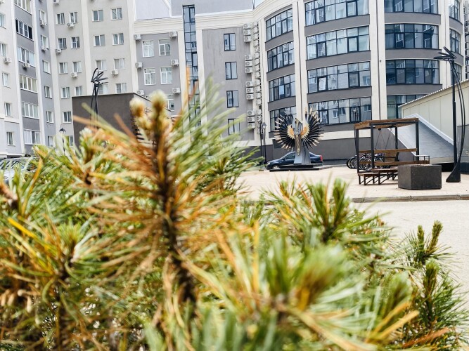 Квартира Sunny Flat Samara, фото 39