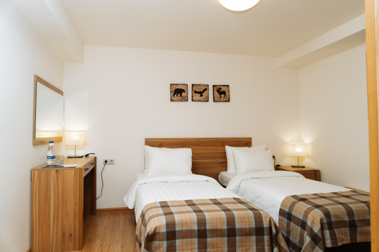 Big Family Chalet With Jacuzzi, фото 55