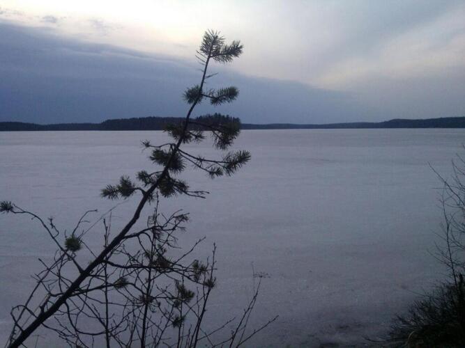 Eko-otel Les, фото 17