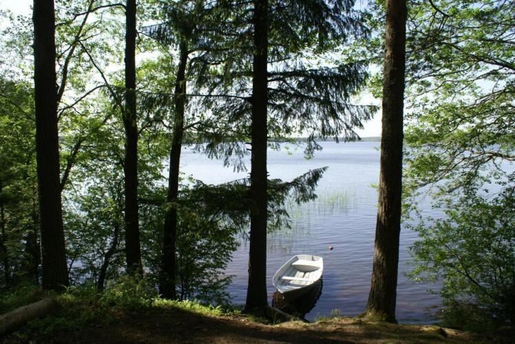 Eko-otel Les, фото 19