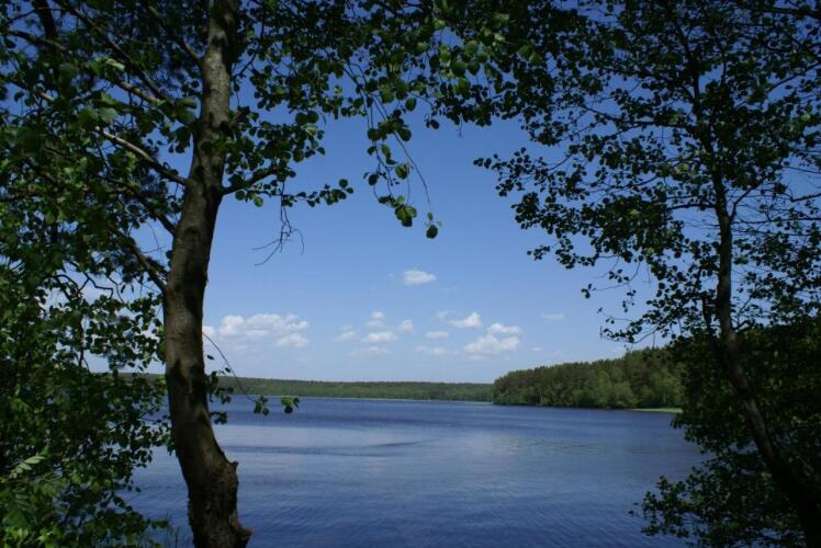 Eko-otel Les, фото 20