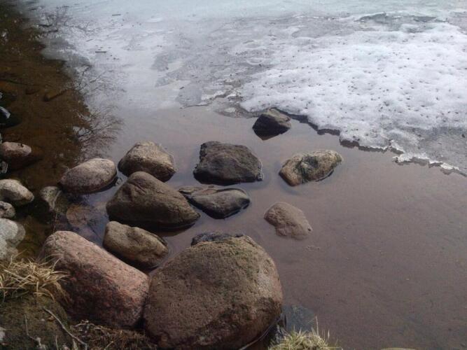 Eko-otel Les, фото 24