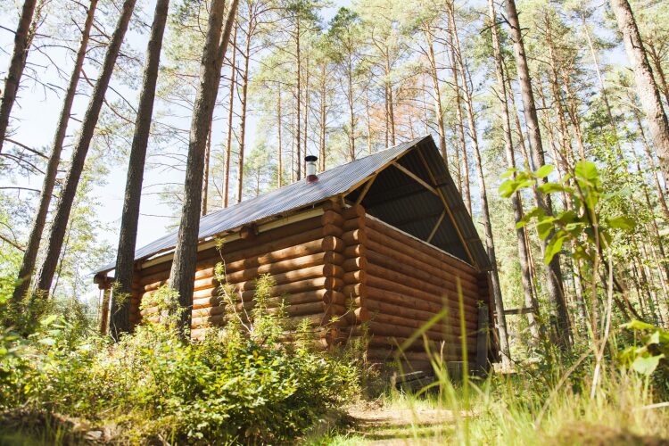 Гостевой дом Крупп, фото 13