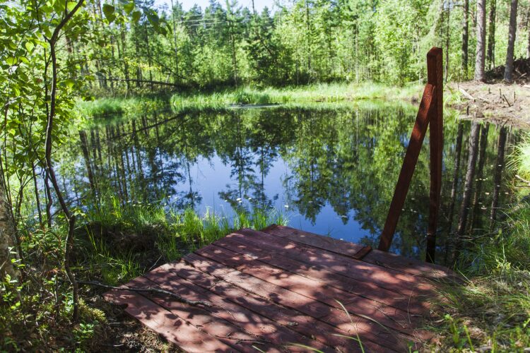 Гостевой дом Крупп, фото 22