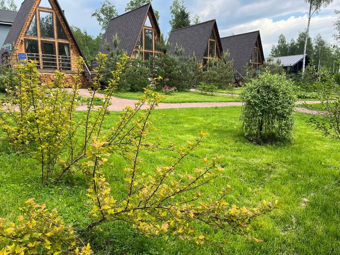 Гостевой дом Рай в шалаше в Светлом, фото 82