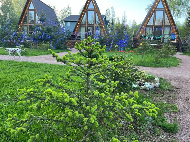 Гостевой дом Рай в шалаше в Светлом, фото 83