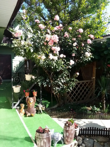 Гостевой дом ViVa, фото 17