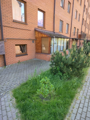 Апартаменты Greenwill, фото 29