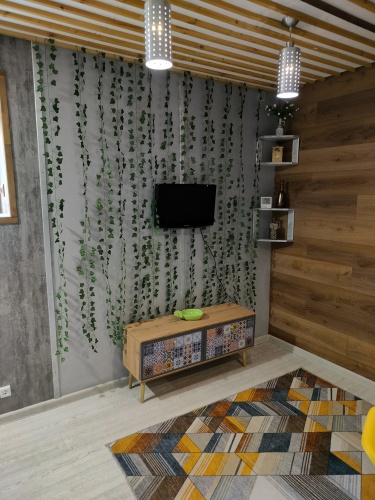 Апартаменты Greenwill, фото 30