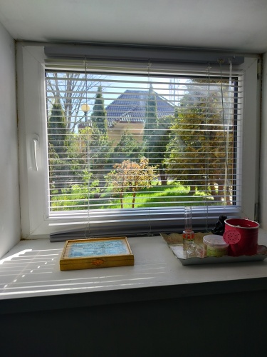 Апартаменты Greenwill, фото 31