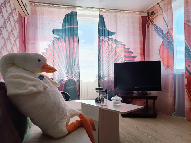 Квартира Двухкомнатная BaileVida rent на Гвардейском, фото 18