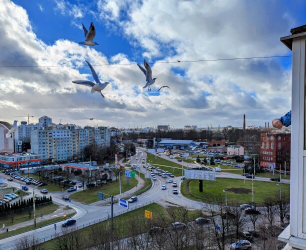 Видовые апартаменты на Московском, фото 28