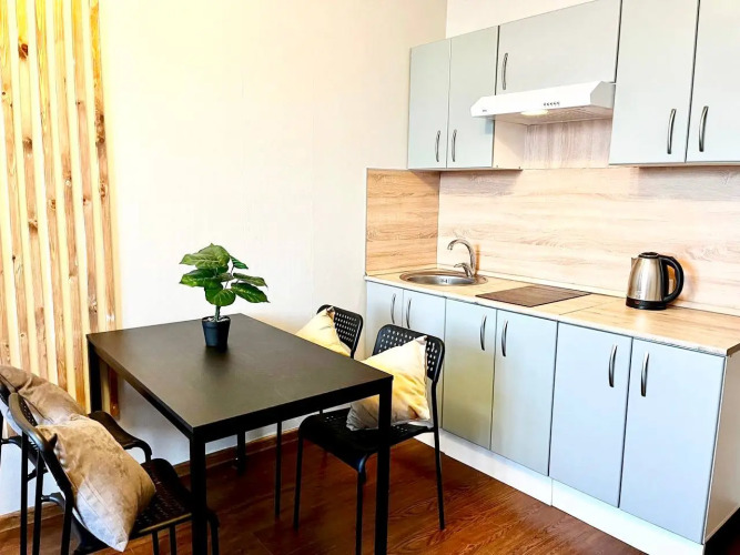 Апартаменты Sunny Days Apartment Феникс, фото 12