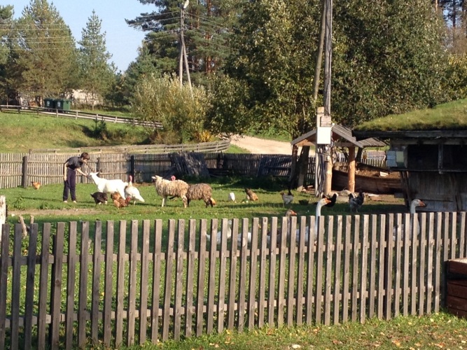 База отдыха Туристическая деревенька Экотель, фото 69