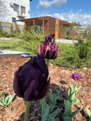 Частный дом Ботаника, фото 23