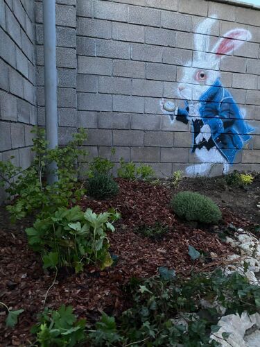 Частный дом Ботаника, фото 24