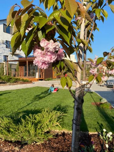 Частный дом Ботаника, фото 25