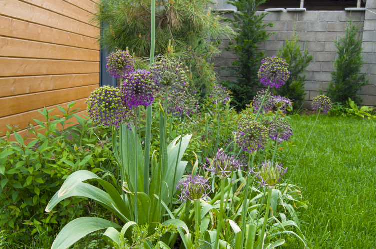 Частный дом Ботаника, фото 30