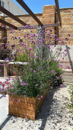 Частный дом Ботаника, фото 32