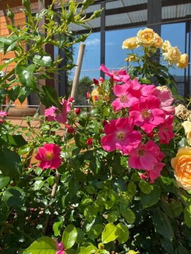 Частный дом Ботаника, фото 35