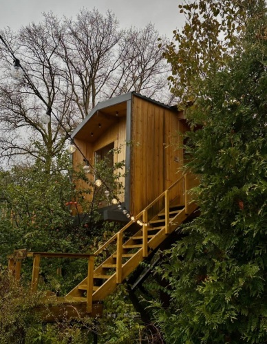 Глэмпинг Дом на дереве, фото 7