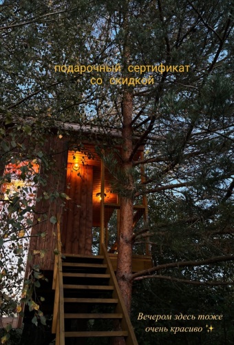 Глэмпинг Дом на дереве, фото 12
