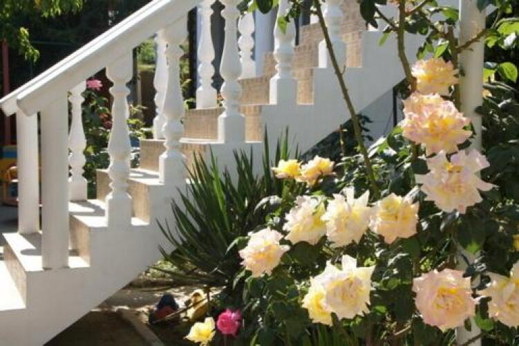 Guest House Melodiya, фото 28