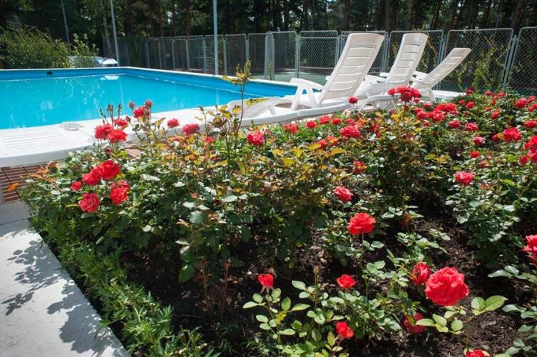 Гостиничный комплекс Росинка, фото 80