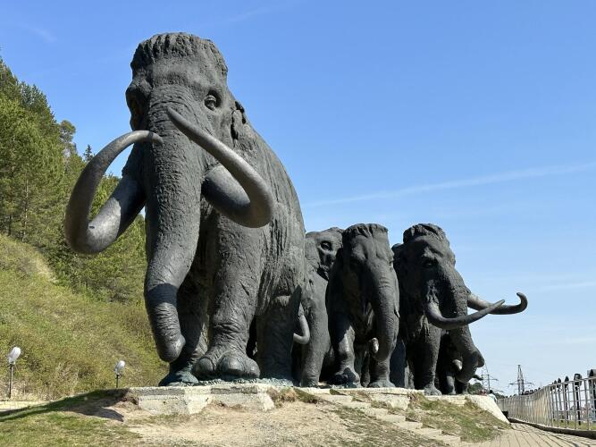 KAK DOMA (Как дома) на улице Коньковой, фото 80