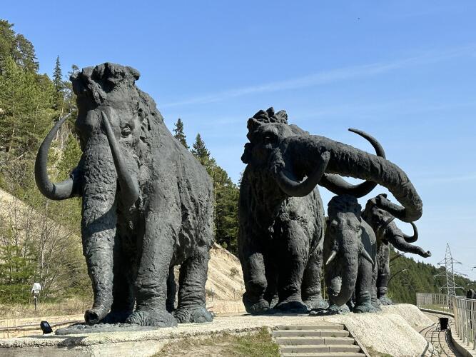 KAK DOMA (Как дома) на улице Коньковой, фото 81