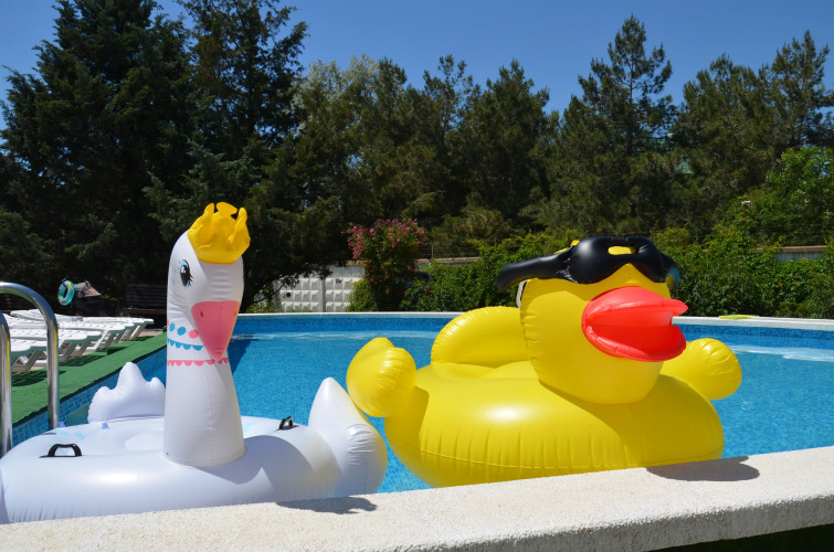 Гостевой дом Солнечный, фото 32