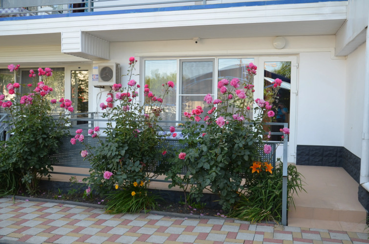 Гостевой дом Солнечный, фото 34