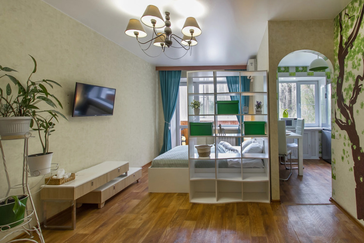 Квартира на Левом берегу, фото 33