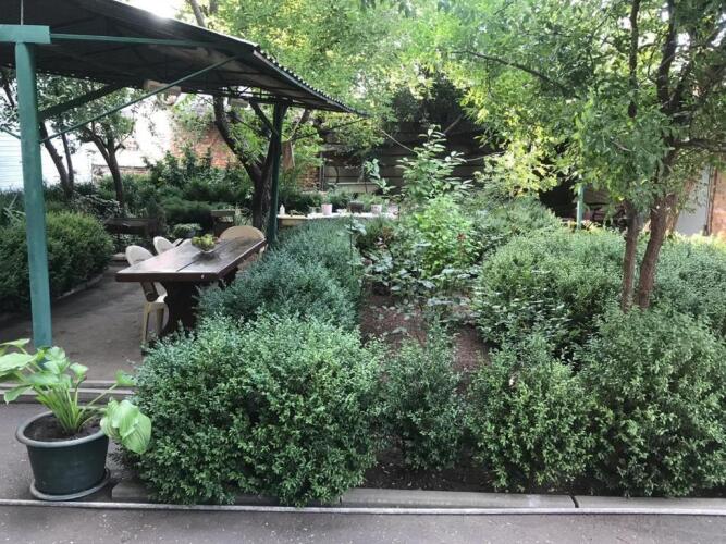 Патио, фото 39