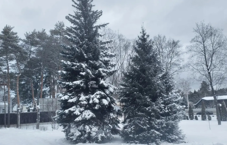 Санаторий-Профилакторий Лесной дворик ЖМЗ, фото 9