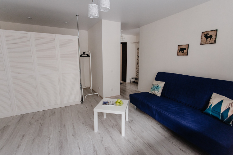 Апартаменты Scandinavia Flat Samara, фото 20