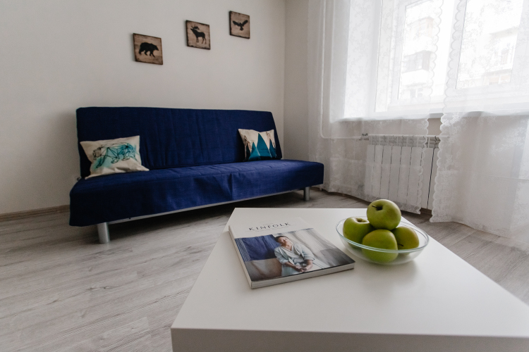 Апартаменты Scandinavia Flat Samara, фото 21