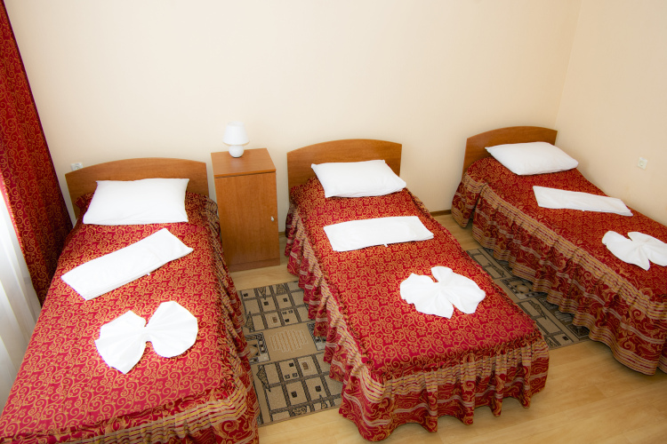 Парк-отель Звездный, фото 37