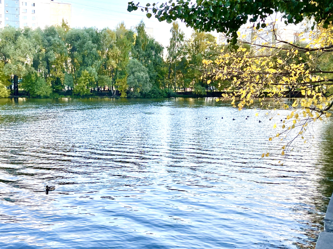 Апартаменты 1я студия Ривер парк, фото 32