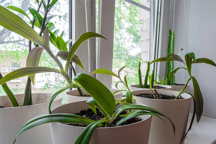 Квартира Red Bus Apartment na Mira, фото 34