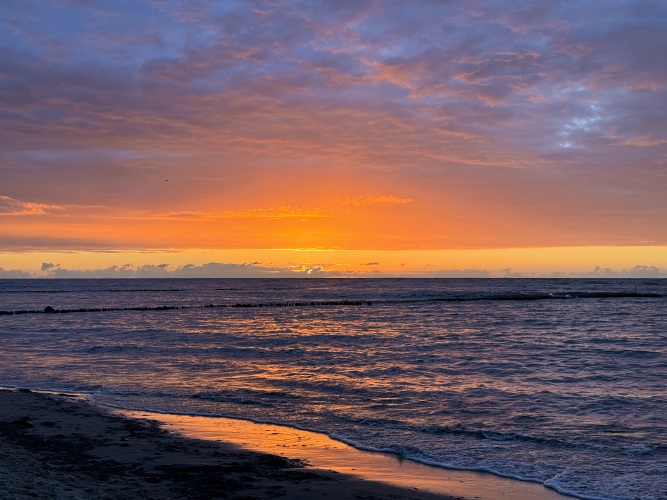 Таунхаус Pro.apartment секция в Светлогорске, фото 47