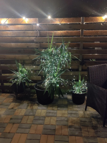 Гостевой Дом Дачи Удачи, фото 15