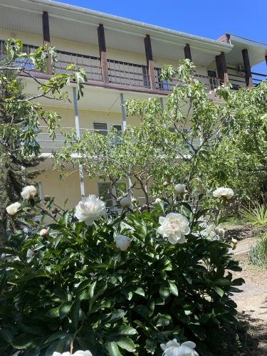 Мини-отель Инжир, фото 29