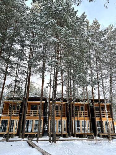 Сила Алтая, фото 67