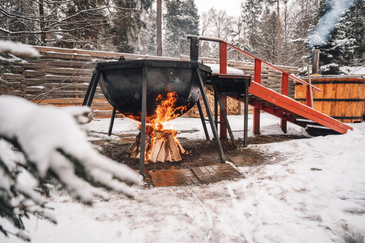 Мини-отель Банный курорт Гуси-Лебеди, фото 31