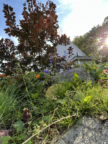 Гостевой Дом Солнечный домик, фото 26