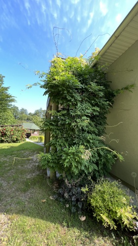 Гостевой Дом Солнечный домик, фото 39