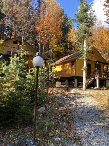 Гостевой дом Тур-домики Поляна Зубров, фото 47