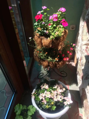 Guest House U Priboya, фото 47