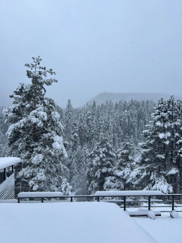 Отель Вудберг, фото 29